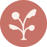 Herbaura