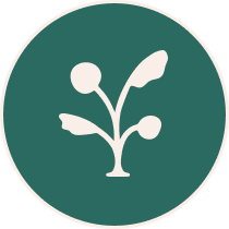Herbaura