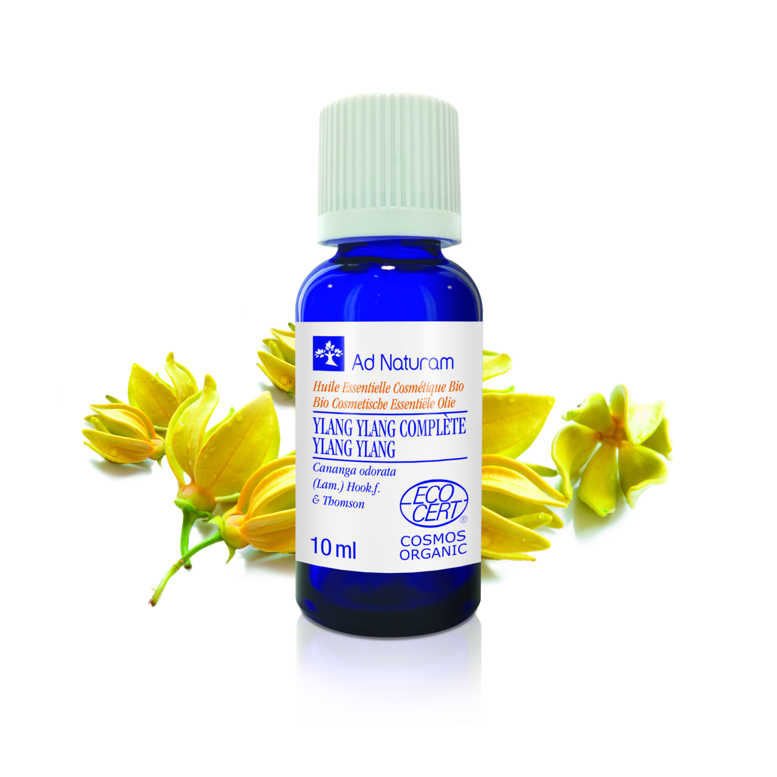 Ylang-ylang