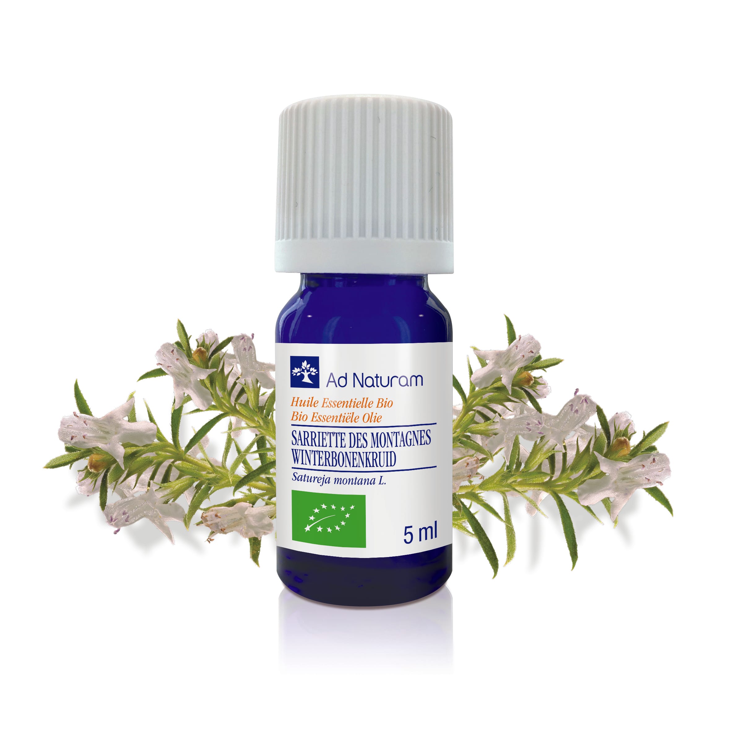 Sarriette des montagnes