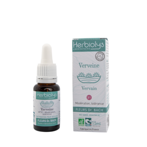 Verveine n°31 – Vervain