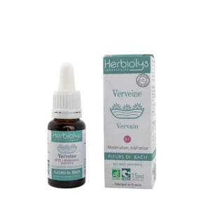 Verveine n°31 – Vervain