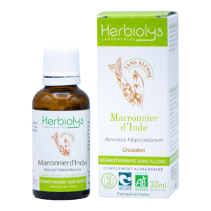 Marronnier d’inde – Bourgeons