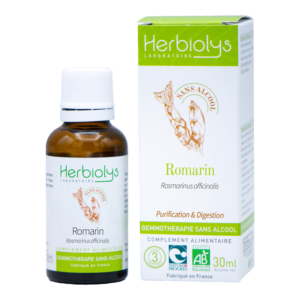 Romarin – Bourgeons