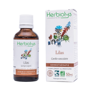 Lilas – Bourgeons