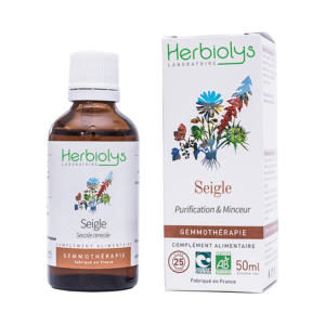 Seigle – Bourgeons