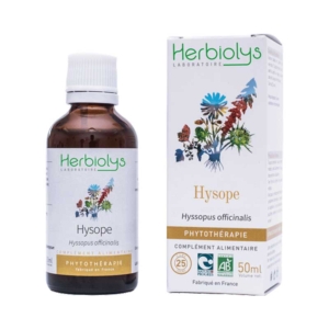 Hysope