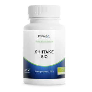 Shiitaké – Bêta-Glucanes 20%