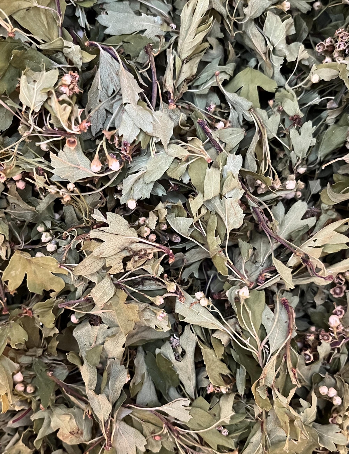 Aubépine - Bouquet entier