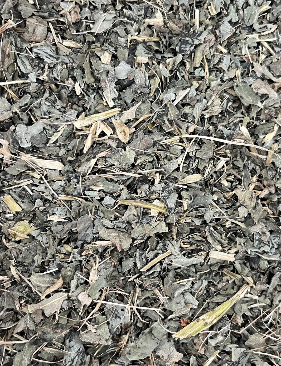Basilic - Feuilles coupées