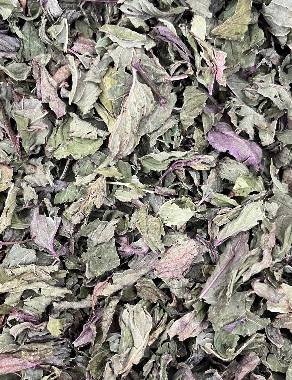 Menthe poivrée - Feuilles